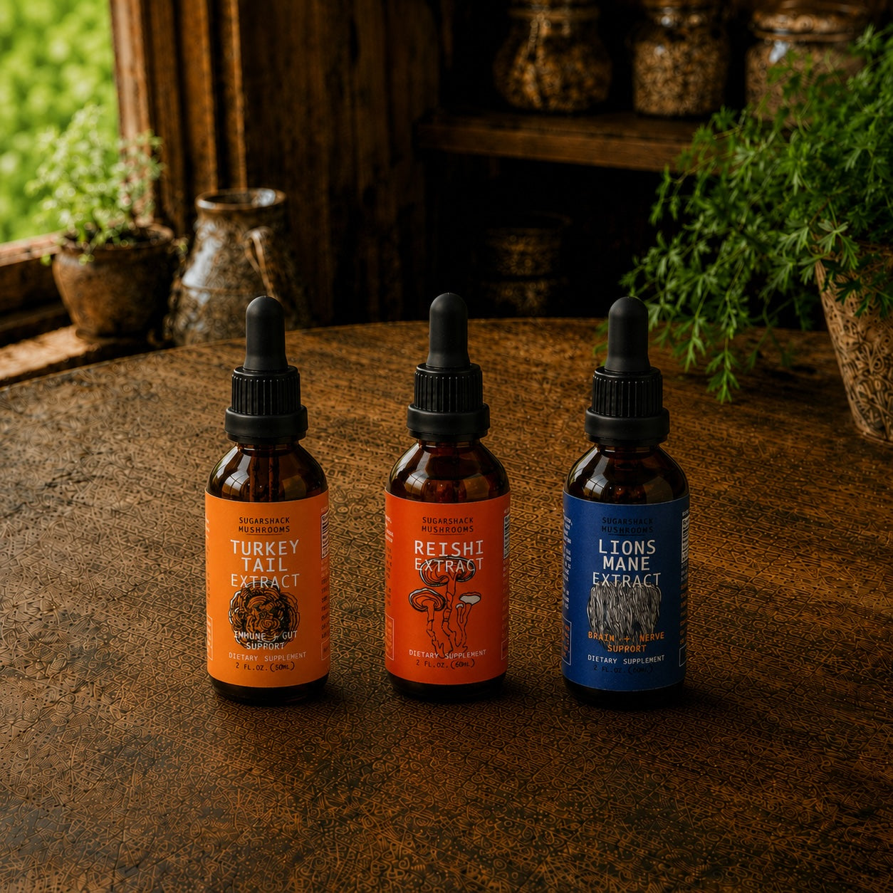 Focus and Gut-Brain Trio | Reishi, Lion's Mane & Turkey Tail