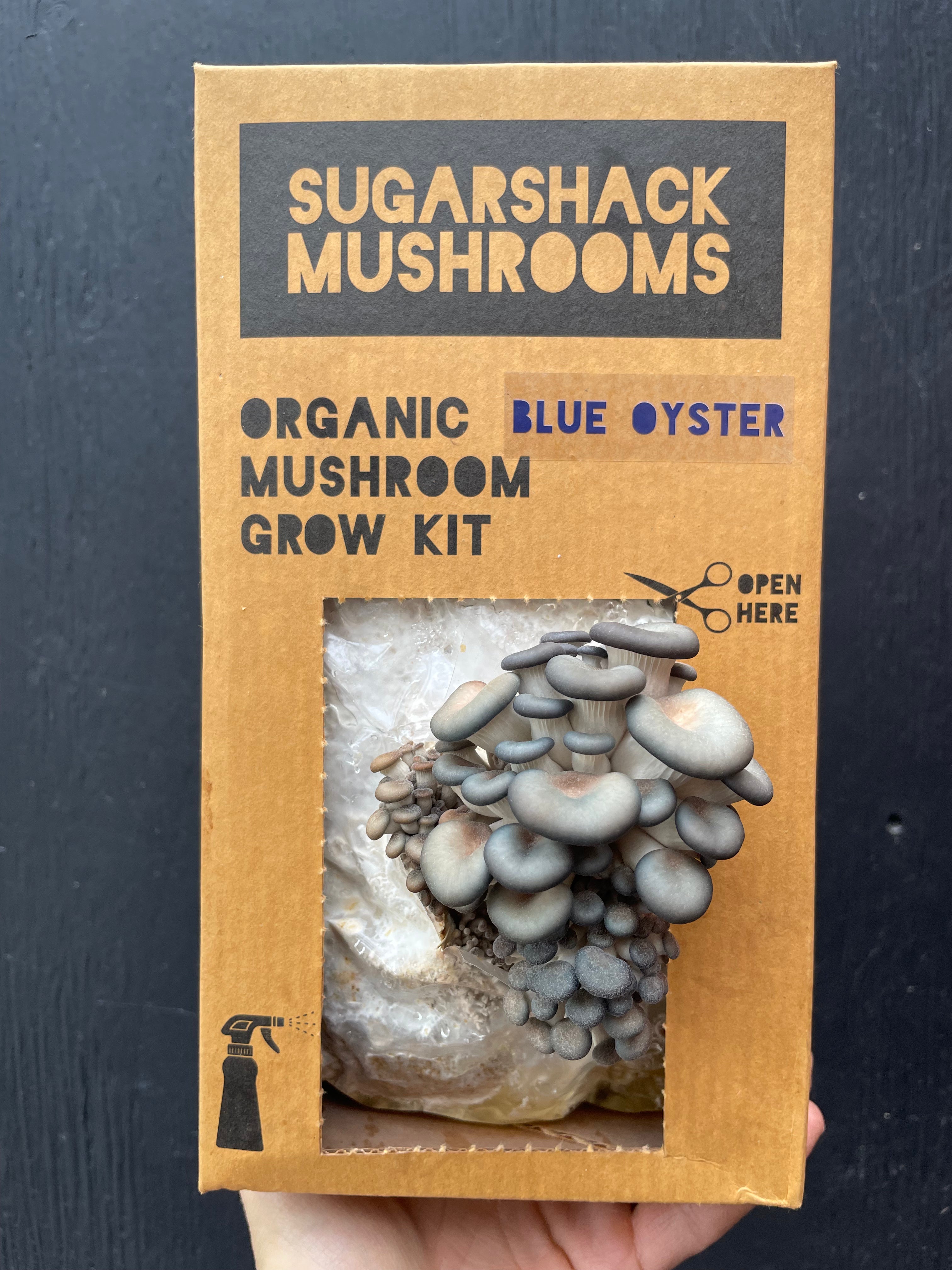 Lion's Mane & Blue Oyster Mushroom Grow Kit Bundle