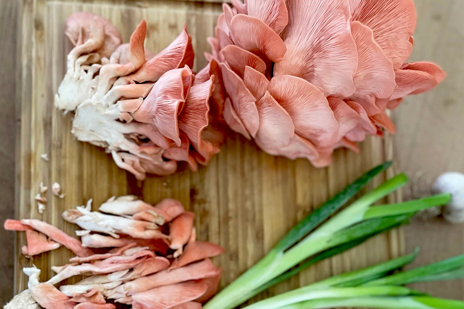 Cooking with Oyster Mushrooms