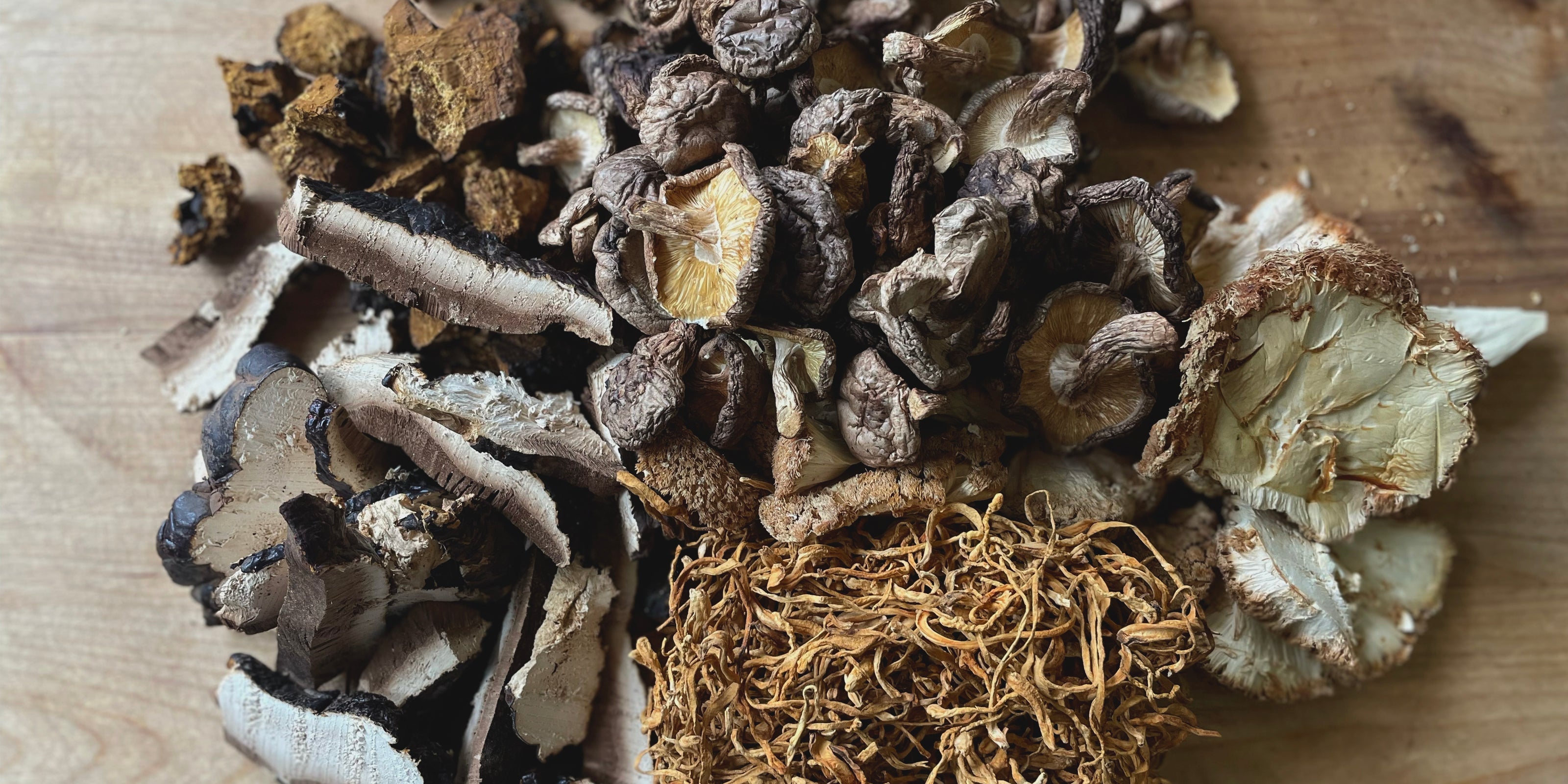 Individual mushroom extracts
