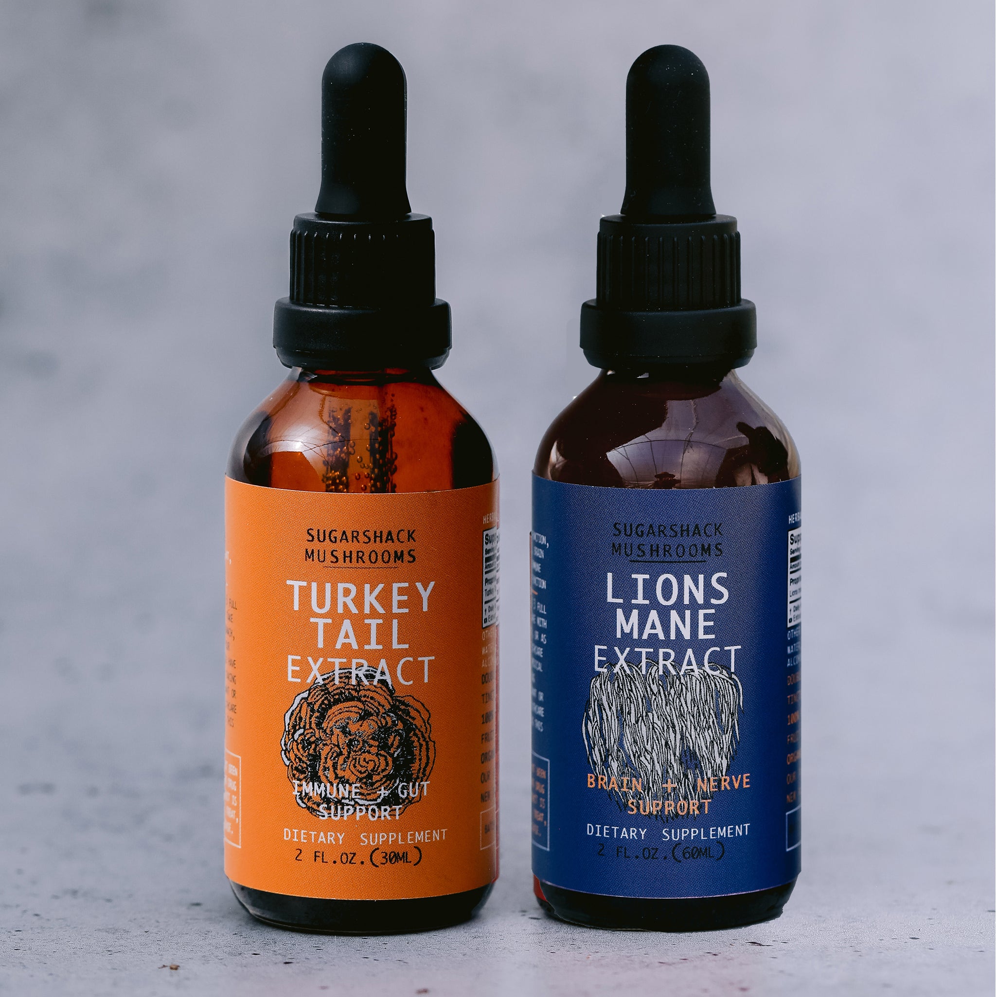 Brain and Gut Duo | Lion's Mane & Turkey Tail
